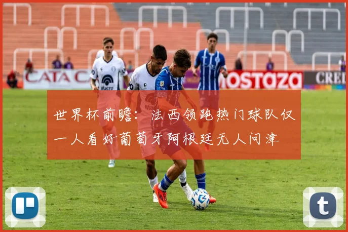 世界杯前瞻：法西领跑热门球队仅一人看好葡萄牙阿根廷无人问津